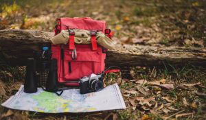 Mehr über den Artikel erfahren From Hiking to Bungee Jumping Finding Your Perfect Adventure