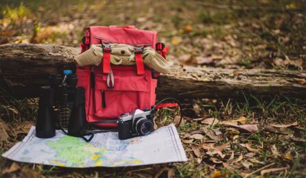 From Hiking to Bungee Jumping Finding Your Perfect Adventure